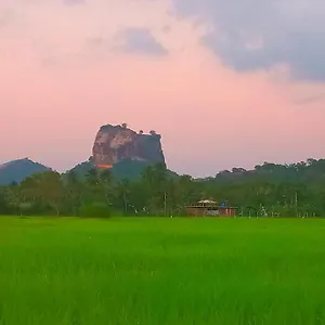  Lodge View Sri Lanka
